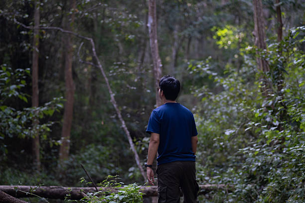 A man is standing in a forest, looking at something in the distance. Scene is peaceful and serene, as the man is surrounded by nature and the trees