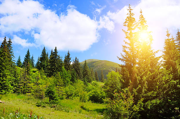istock Bright Sun Flare Over Lush Green Mountain Valley and Coniferous Forest. Mount Hoverla, Carpathians, Ukraine 2249198410
