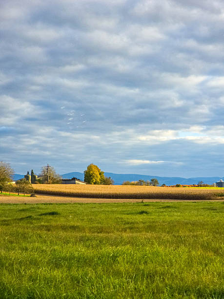 istock Dramatic Autumn Sky over a Mown Field 2249198925