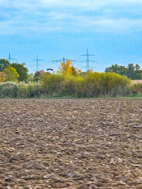 istock Ploughed Field and Power Line Silhouettes 2249199026