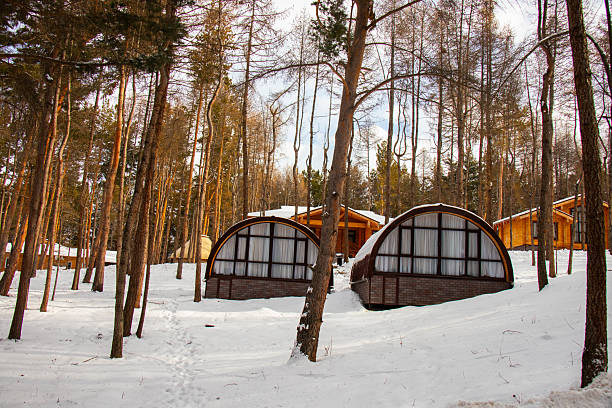Karakol, Kyrgyzstan - December 13, 2024: Wood-sided accommodation cabins, including two unusual dome-fronted structures, in a snowy pine forest at a mountain resort