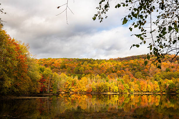 istock Ramapo Valley County Reservation in the Autumn 2249206666