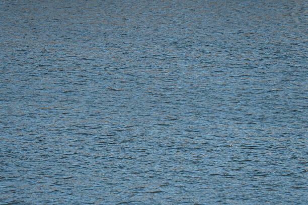 Blue sea water surface texture background with small ripples and waves in the Baltic Sea during a sunny day.High quality photo
