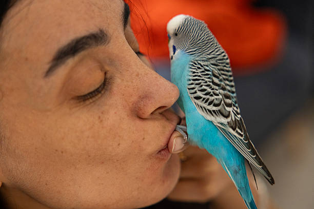 istock Kissing A Bird’s Foot 2249208942