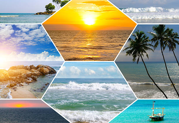 istock Tropical Beach Scenes Collage: Sunset, Waves, and Palm Trees 2249210130