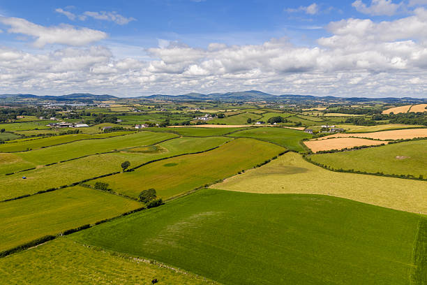 istock Aerial View Of Rolling Green Farmlands And Hedged Fields Under A Bright Blue Sky, Tyrella, Northern Ireland 2249212067