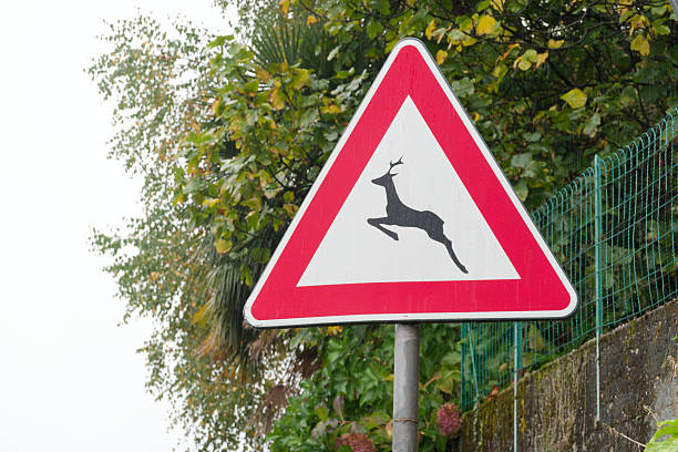 The warning sign is a silhouette of a mouse in a yellow triangle on a white background, an isolate. The sign \