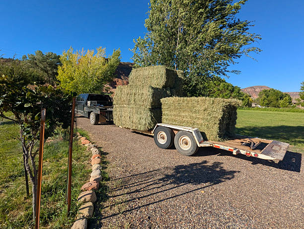 istock Large Hay Bales on Trailer 2249219508