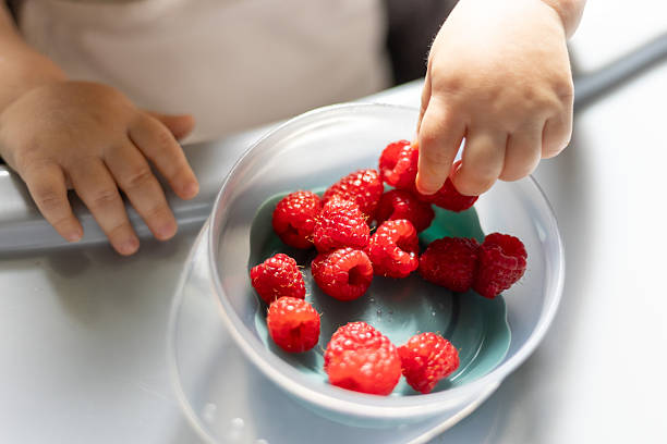 istock Child's Hands Eating Raspberries in Bowl Close-Up 2249220169