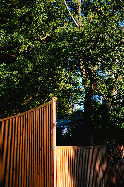 istock Nice wooden fence around tree 2249222720