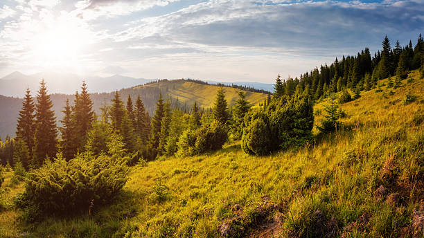 istock Magnificent sunny day in tranquil mountain landscape. Perfect summertime wallpaper. 2249227667