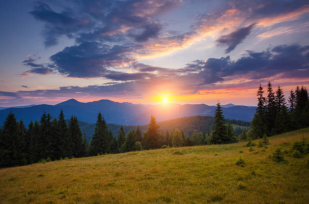 istock Spectacular summer scene in warm sunlight at twilight. 2249227668