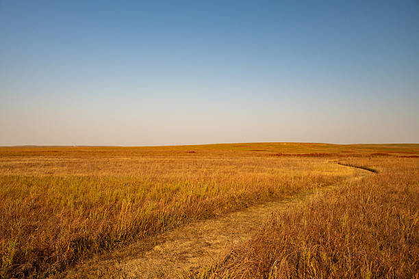 Trail Cuts Across The Open Prairie Of Oklahoma in late summer
