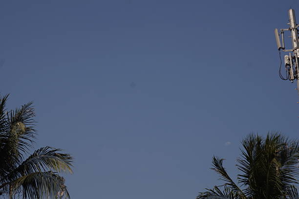 Bright sky features palms, antenna, moon during the day creating tropical mood image.