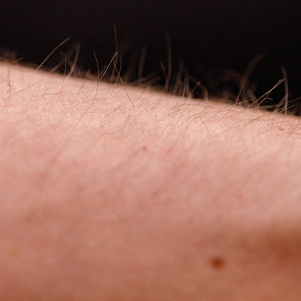 istock Human arm skin with hair macro close-up 2249237314