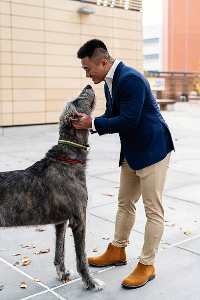 istock Businessman Portrait with Dog 2249244253