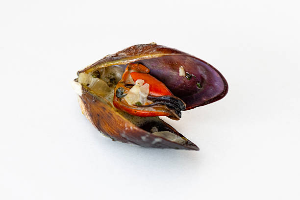 A close-up of a freshly cooked mussel in its shell with seasoning