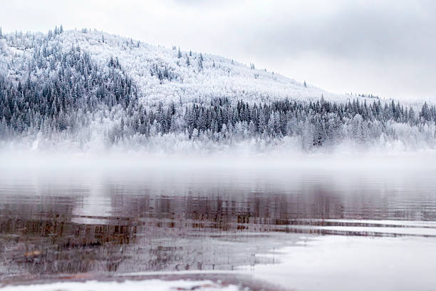 Winter frosty landscape, foggy river among white forests covered with hoarfrost, view from the rocky bank. Peace River, Alberta, Canada.