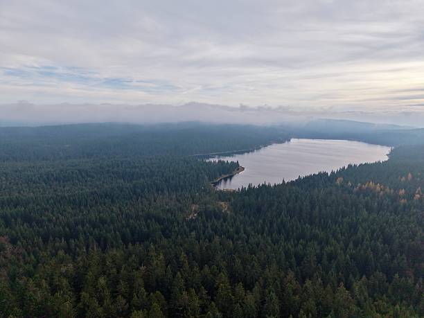 istock tranquil woodland lake with reflection, quiet aquatic landscape surrounded by lush trees and distant peaks 2249249848