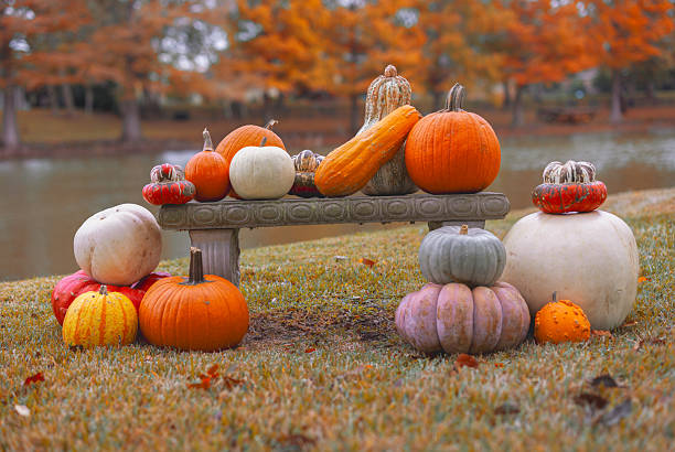 Colorful pumpkins and gourds arranged on an outdoor bench beside a pond, surrounded by warm autumn foliage for a festive fall and Thanksgiving theme.