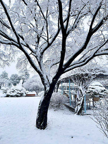 Jeongdok Library, Seoul Korea