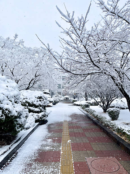 Jeongdok Library, Seoul Korea