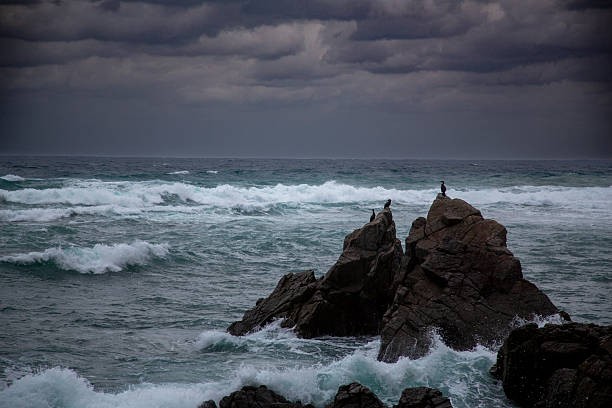 istock The creative, dynamic and beautiful nature of Amami Oshima 2249259146