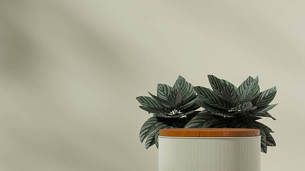 istock rendering 3d empty mockup wood texture curved cylinder in landscape minimal scene 2249259390