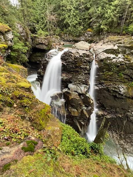 istock Water pours gracefully over rugged rocks in a lush forest, creating Nooksack Falls. The moist environment is filled with vibrant greenery and sounds of nature. 2249260412