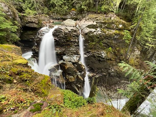 istock Water pours gracefully over rugged rocks in a lush forest, creating Nooksack Falls. The moist environment is filled with vibrant greenery and sounds of nature. 2249260414