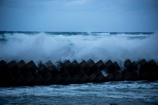 istock The creative, dynamic and beautiful nature of Amami Oshima 2249263453