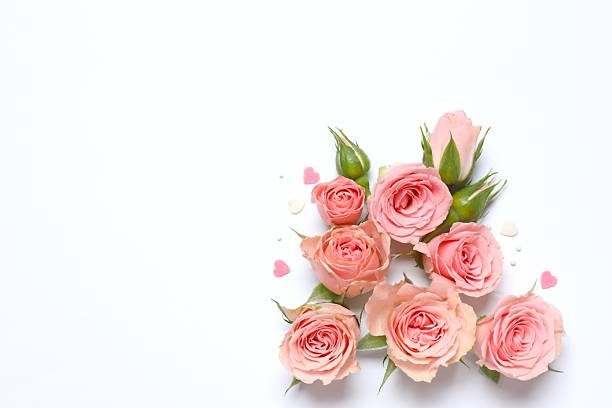 istock Beautiful composition with peony roses on white background 2249266887