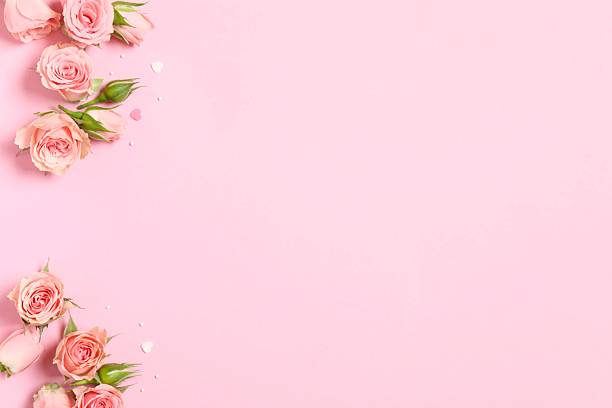 istock Top view of peony roses on color background 2249266888