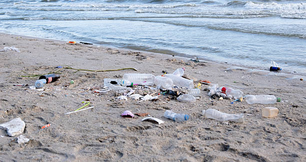 istock Dirty sea sandy shore ,Environmental pollution,Plastic water bottles pollution in ocean (Marine debris) 2249267262