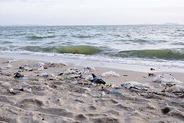 istock Dirty sea sandy shore ,Environmental pollution,Plastic water bottles pollution in ocean (Marine debris) 2249267297