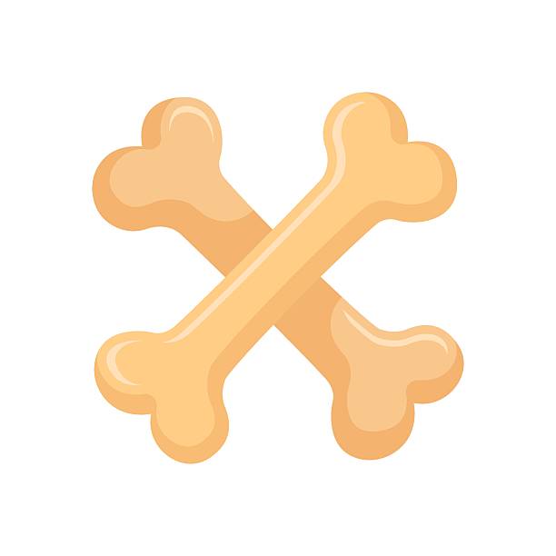 istock Dog bone icon in flat style. Animal cookie vector illustration on isolated background. Skeleton bones sign business concept. 2249269391