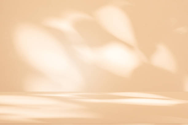 istock Studio style background wall decoration presentation uses white and beige tones. with shadows cast from a nearby window, concept creating a decorative 2249269813