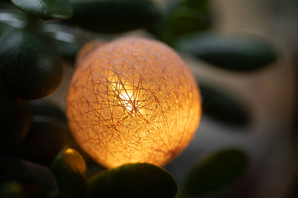 istock Cozy glowing fairy light on a houseplant. 2249283370