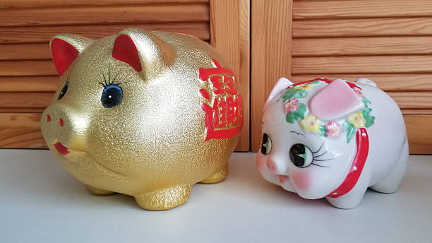 istock Piggy Bank 2249285963