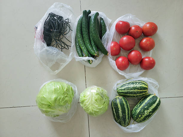 A pile of freshly bought vegetables and fruits.