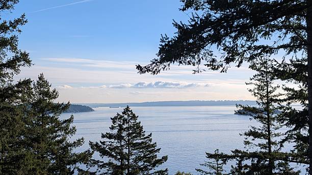 istock Tranquil Peaceful Ocean Inlet with Forested Shoreline, Horizon Vessels with Tree Silhouette and Partly Cloudy Sky 2249286185