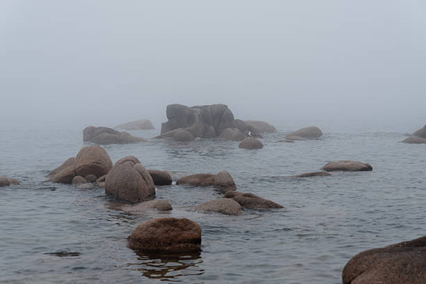 Large boulders on the beach of  Mt. Doug Park in Victoria, BC.