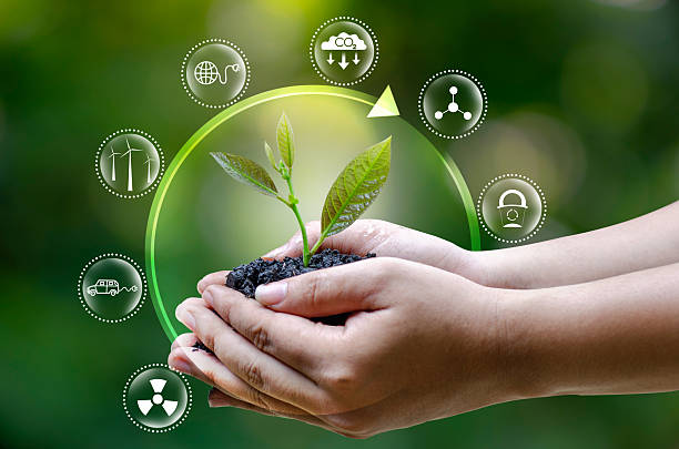 istock Two hands holding a tree with a circle of symbols around it. Environmental and conservation concept. 2249286449