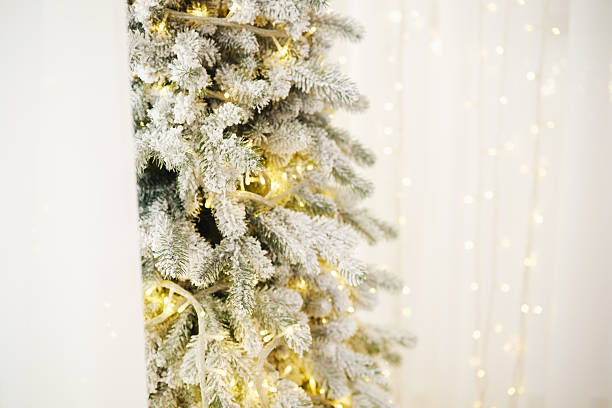 istock Frosted evergreen branches with warm lights and soft white curtains create a festive holiday atmosphere. 2249288321