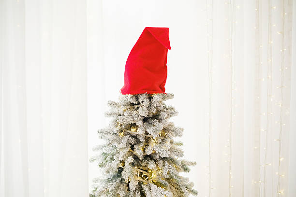 elfs hat on a white background