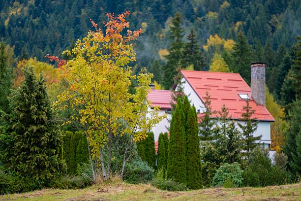 A charming countryside scene with a small house and vibrant autumn foliage in a forested landscape.