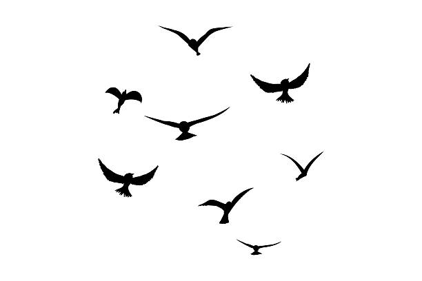 istock Flying flock of birds silhouette, Simple swallows in flight, crows in the sky. Group of birds border. Vector illustration 2249292910