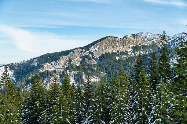 istock A beautiful rock wall emerging from the forest in the mountains. 2249294059