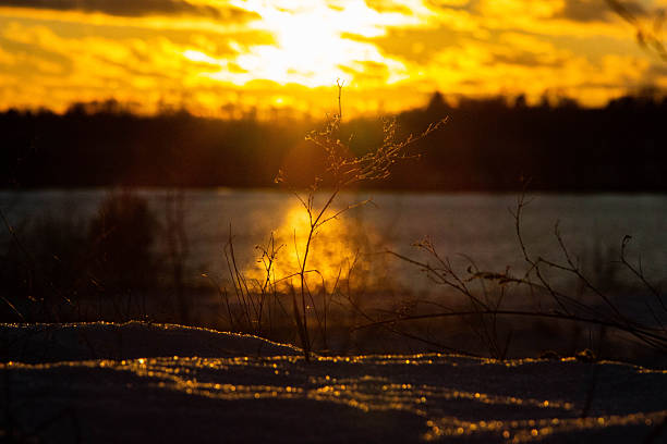 A beautiful winter landscape with rising sun in Northern Europe. Snowy scenery with golden light.