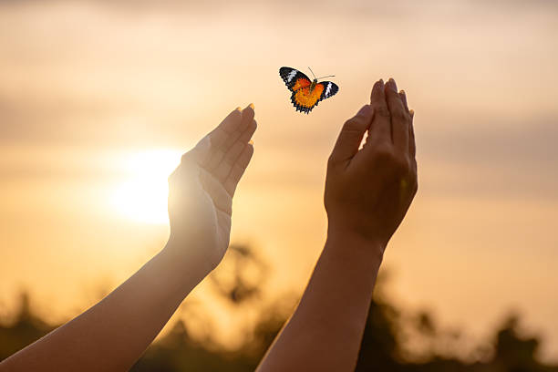 A  butterfly landed on human hand